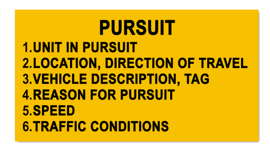 FTO Pursuit Reference Sticker